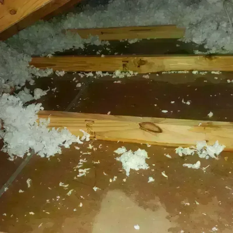 Attic Water Damage in Winnie, TX