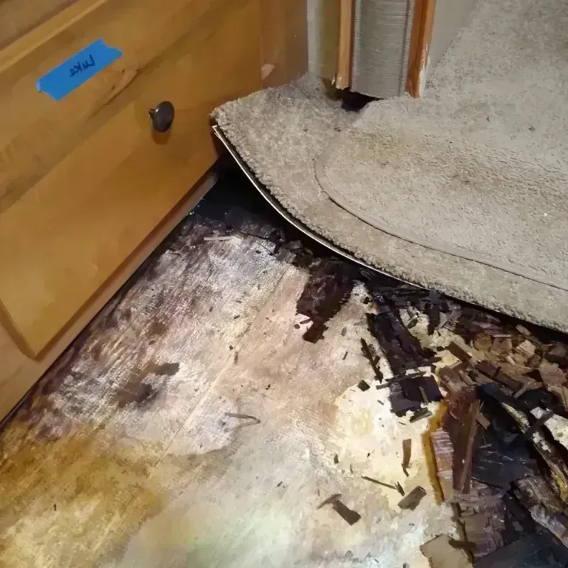 Wood Floor Water Damage in Winnie, TX